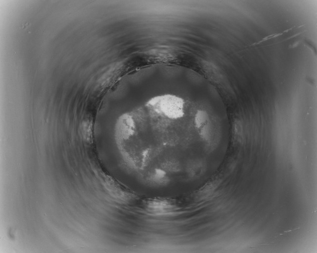 X0000103290177200808291341