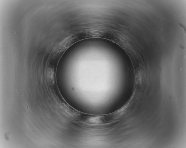 X0000103290178200808291341