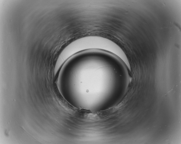 X0000103290180200808291341