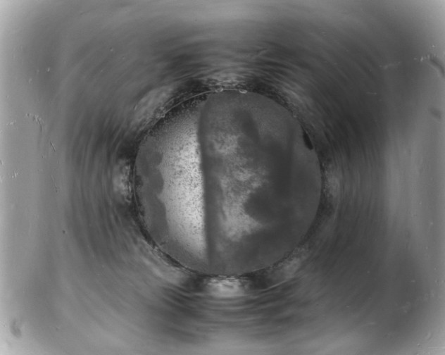 X0000103290181200808291341