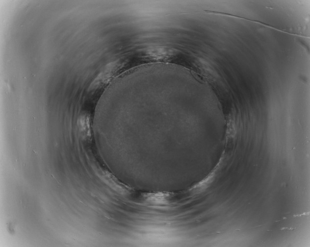 X0000103290182200808291341