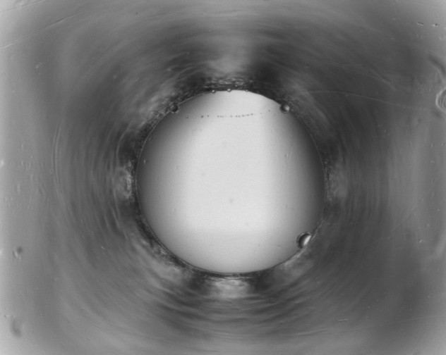 X0000103290183200808291341