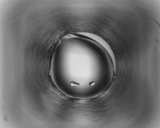 X0000103290184200808291341