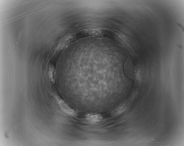 X0000103290185200808291341