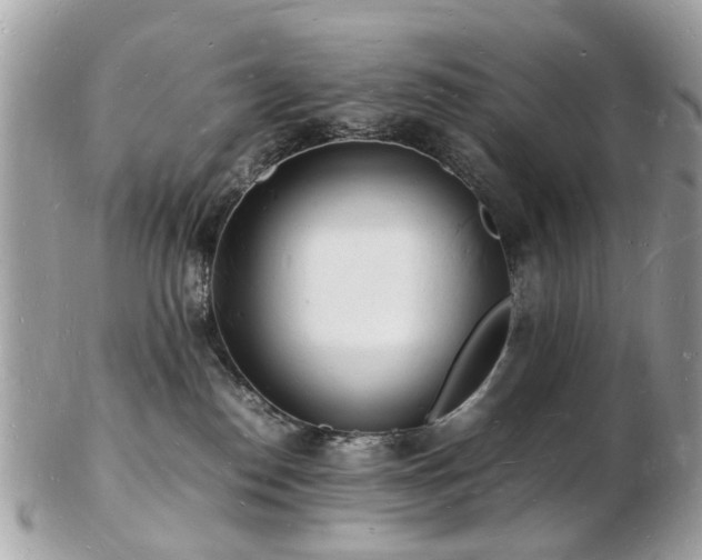 X0000103290186200808291341