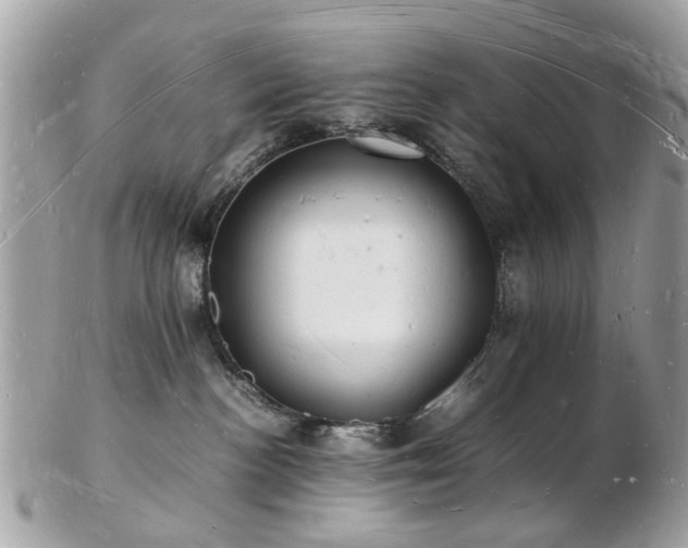 X0000103290188200808291341