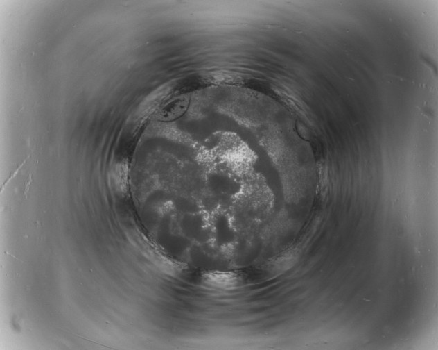 X0000103290189200808291341