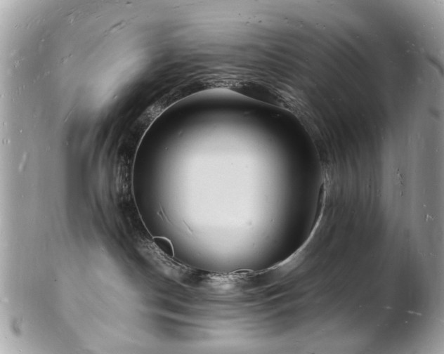 X0000103290190200808291341