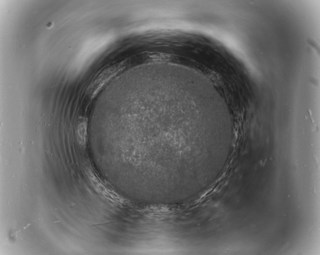 X0000103290194200808291341