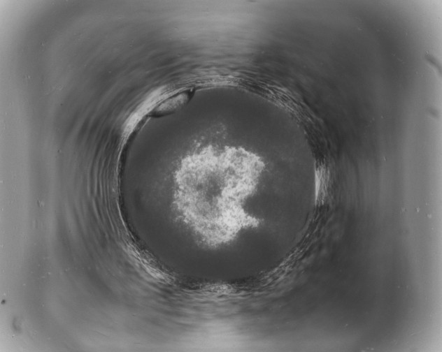 X0000103290195200808291341