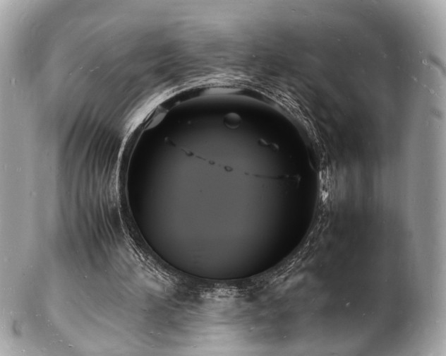 X0000103290196200808291341