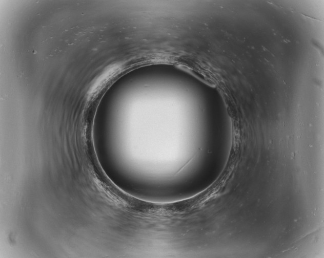 X0000103290197200808291341