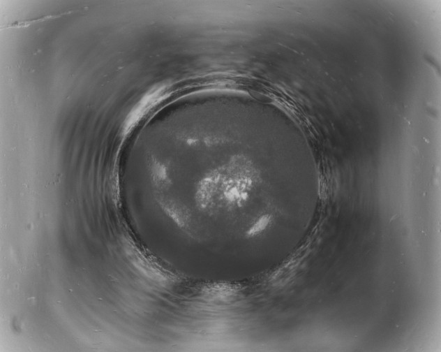 X0000103290198200808291341