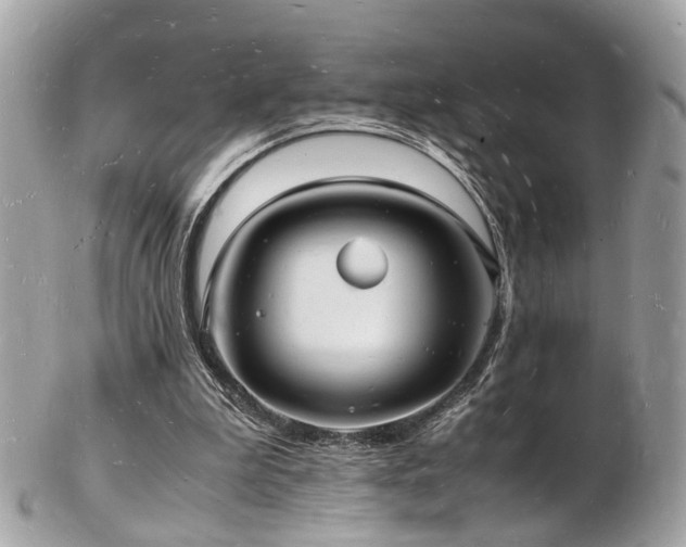 X0000103290199200808291341