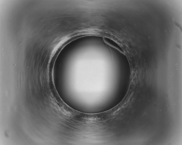 X0000103290200200808291341