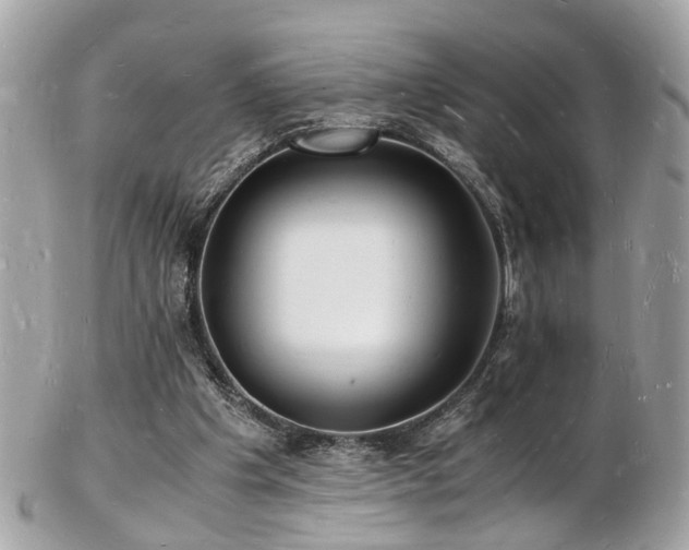 X0000103290201200808291341