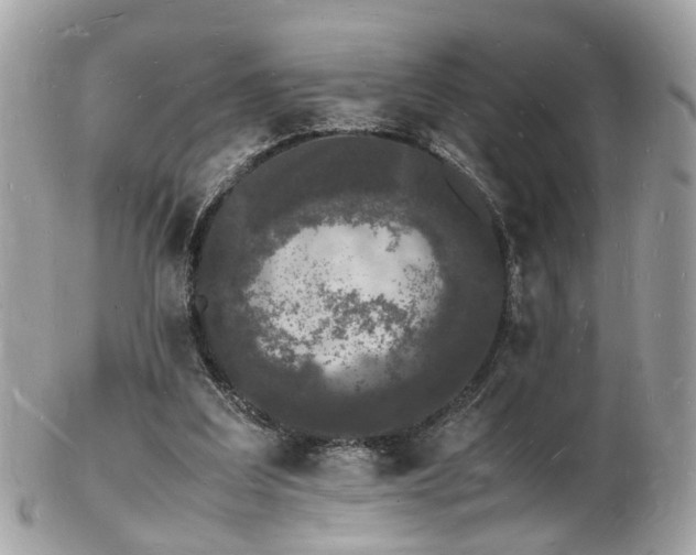 X0000103290203200808291341