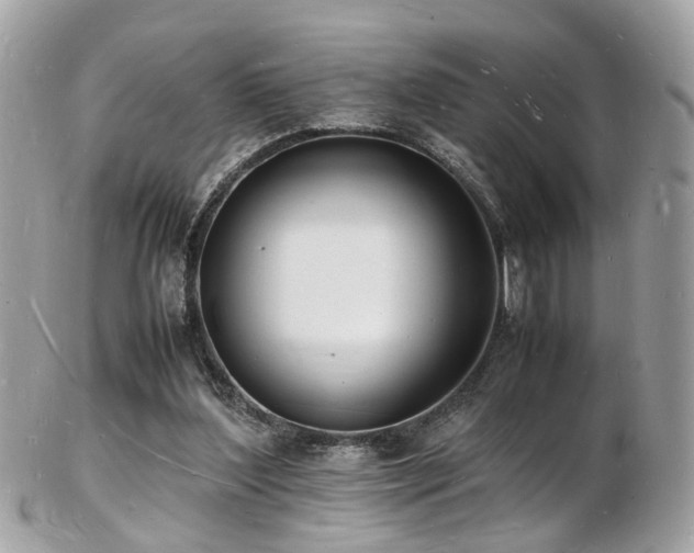 X0000103290204200808291341