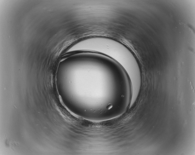 X0000103290205200808291341