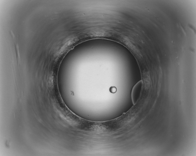 X0000103290207200808291340