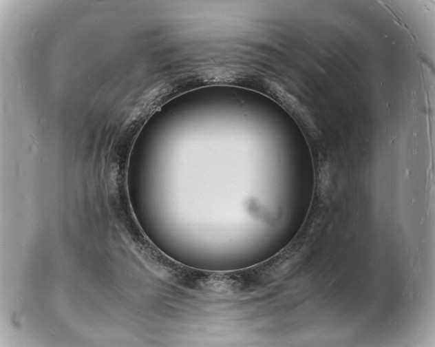 X0000103290209200808291340