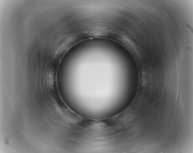 X0000103290210200808291340