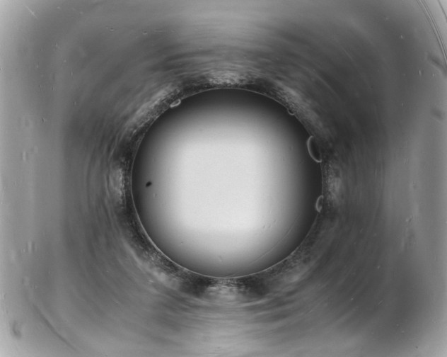 X0000103290211200808291340