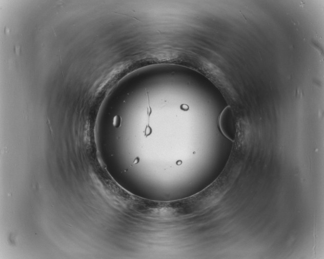 X0000103290212200808291340