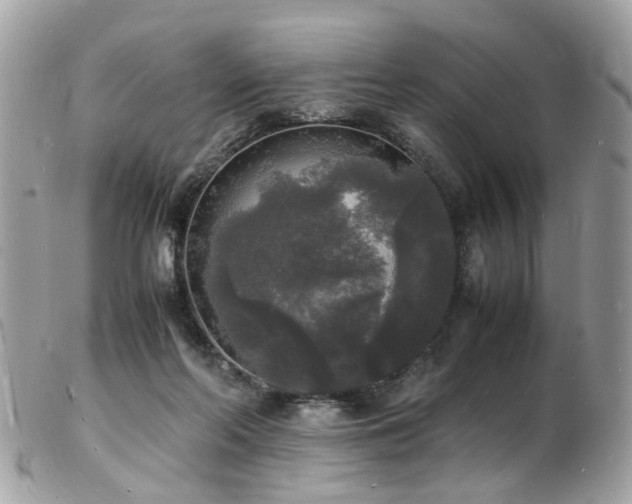 X0000103290214200808291340