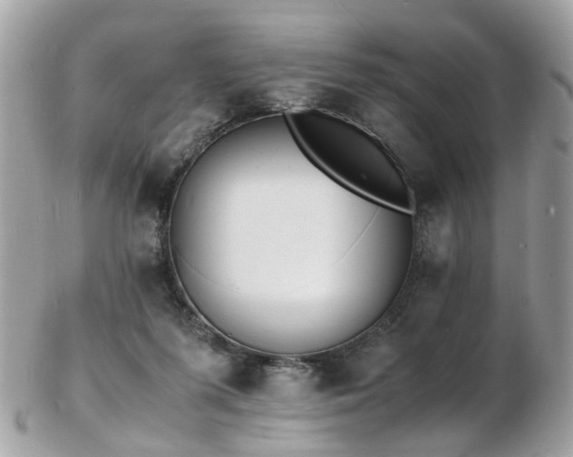 X0000103290215200808291340