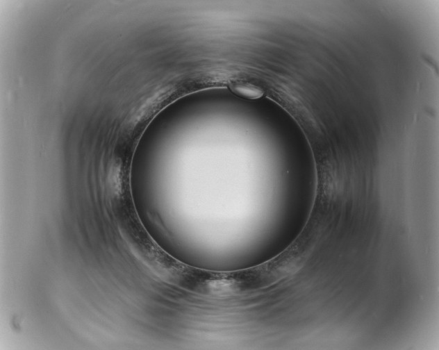 X0000103290216200808291340