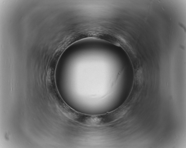 X0000103290217200808291340