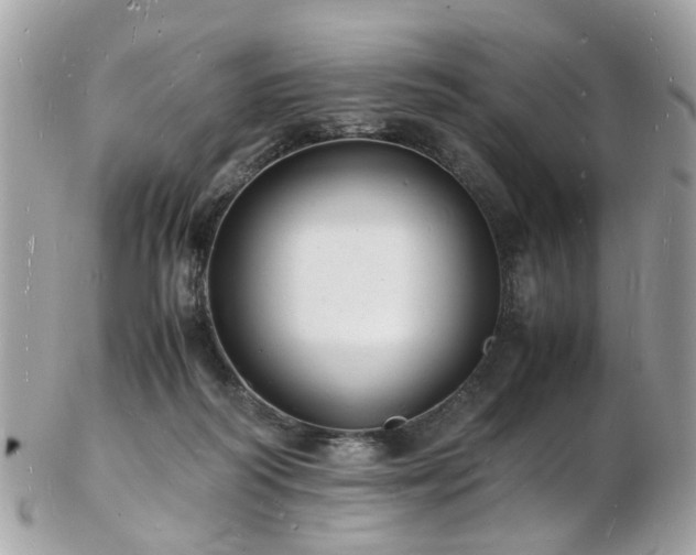 X0000103290218200808291340