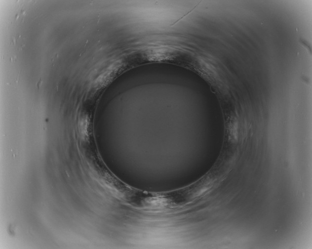 X0000103290219200808291340