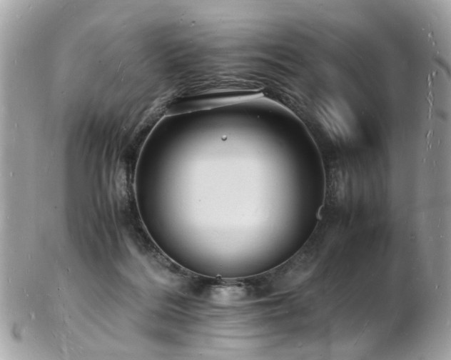 X0000103290220200808291340