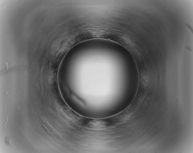 X0000103290221200808291340