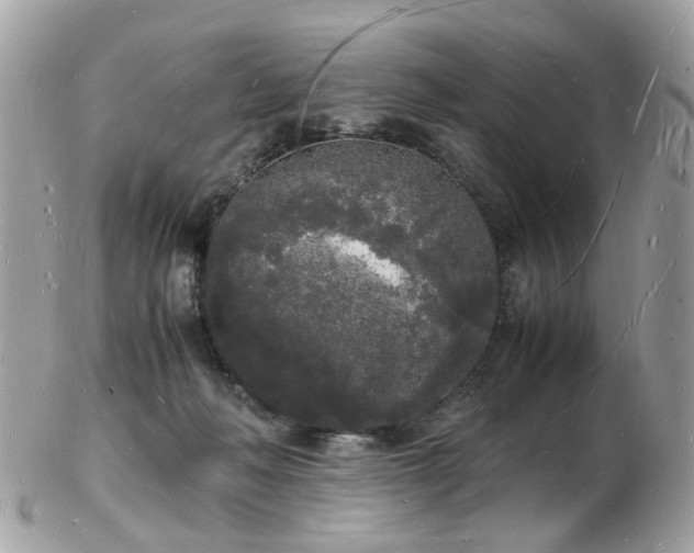 X0000103290222200808291340