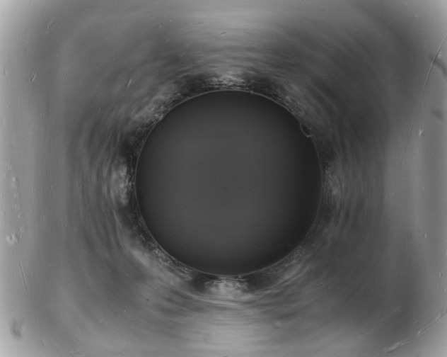 X0000103290223200808291340