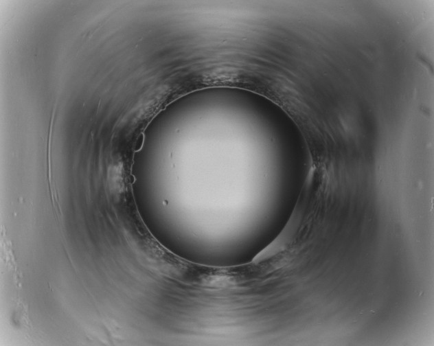 X0000103290224200808291340