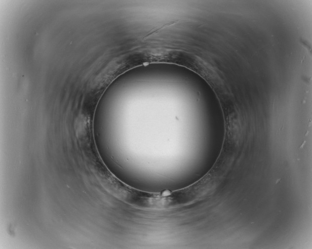 X0000103290225200808291340