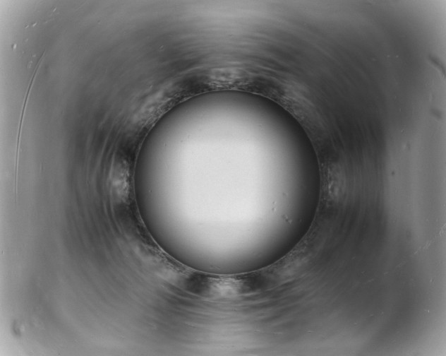 X0000103290226200808291340