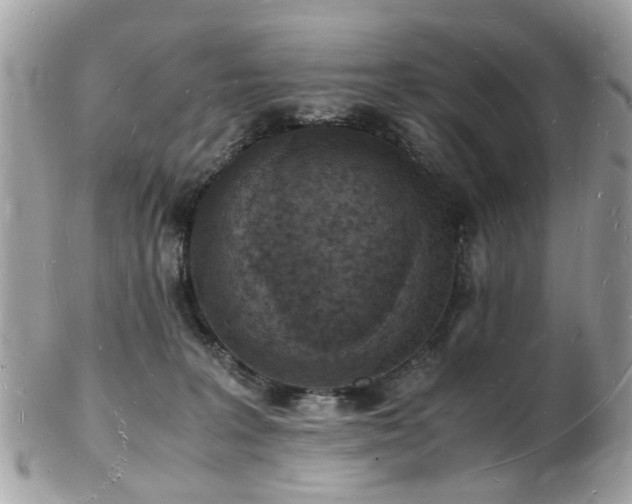 X0000103290227200808291340