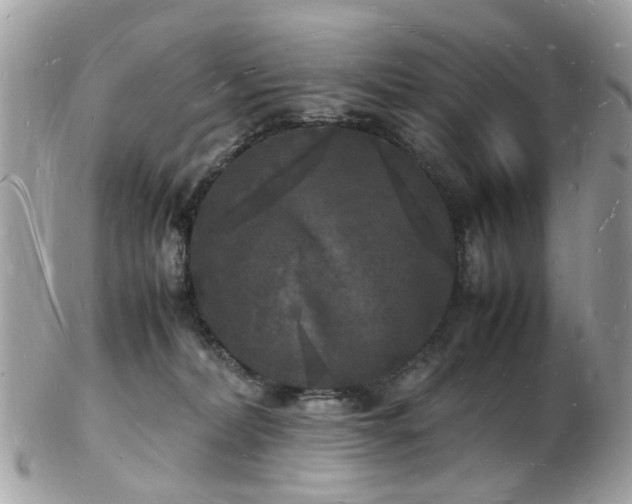 X0000103290228200808291340