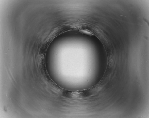 X0000103290229200808291340