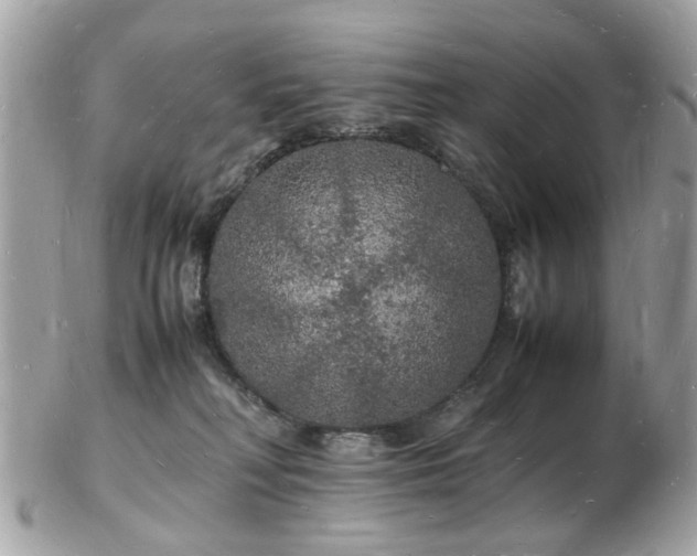 X0000103290230200808291340