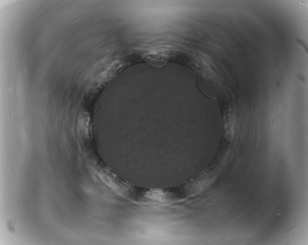 X0000103290231200808291340