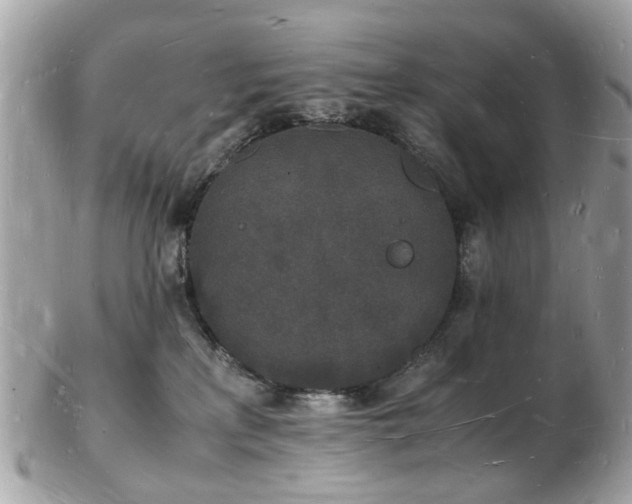 X0000103290233200808291340