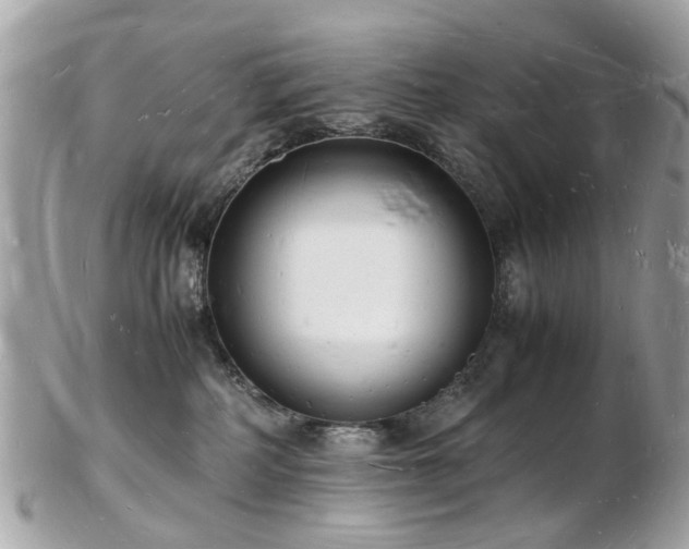 X0000103290234200808291340