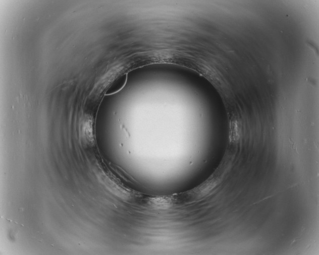 X0000103290238200808291340