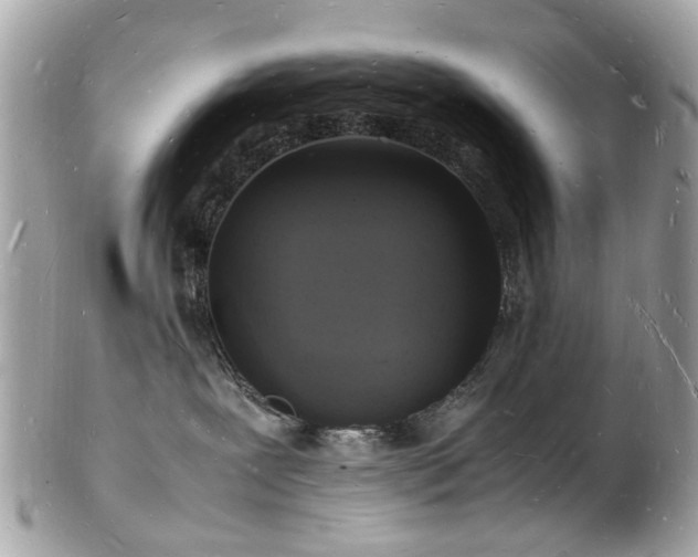 X0000103290239200808291340